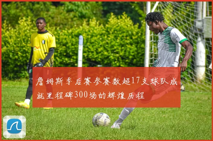詹姆斯季后赛参赛数超17支球队成就里程碑300场的辉煌历程